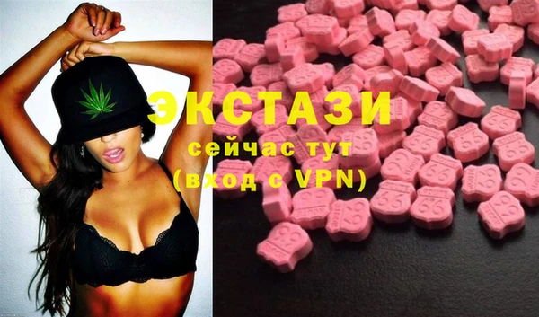 ECSTASY Богородицк